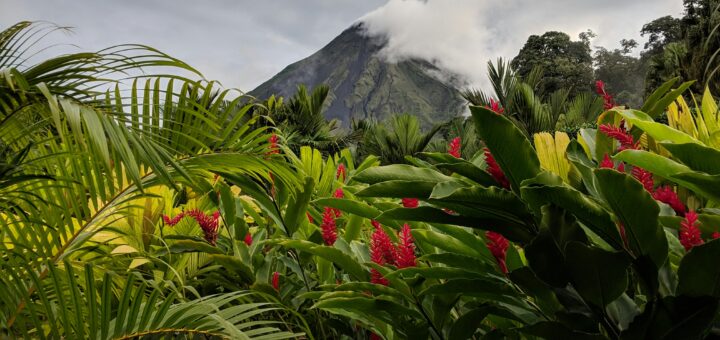 Scenic view of Arenal Volcano surrounded by vibrant rainforest and tropical flora in Costa Rica.