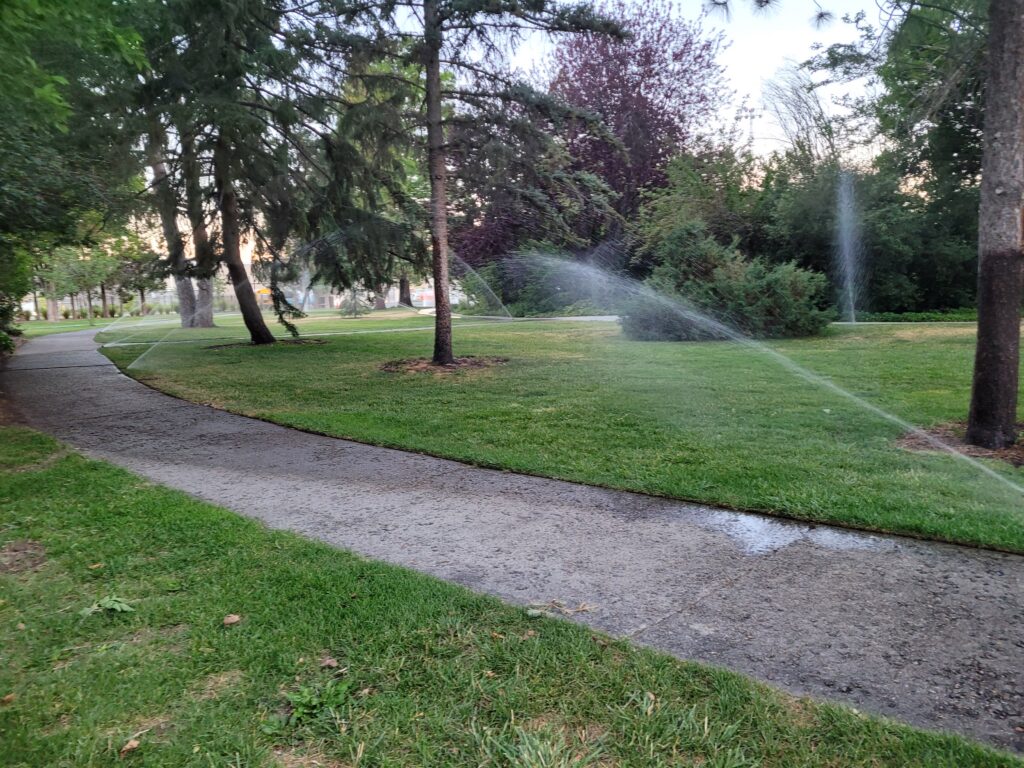 Winding sidewalk through a park with sprinklers spraying across wet grass and pavement, leaving a small dry patch on the path.