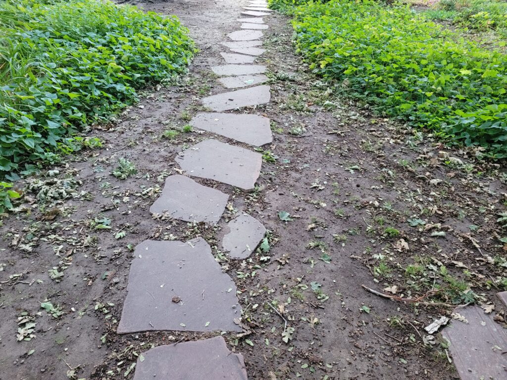 A winding path of stepping stones leading forward through lush green groundcover, disappearing into the distance