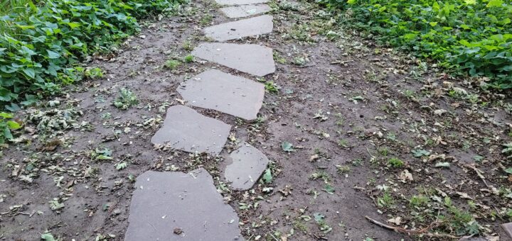 A winding path of stepping stones leading forward through lush green groundcover, disappearing into the distance